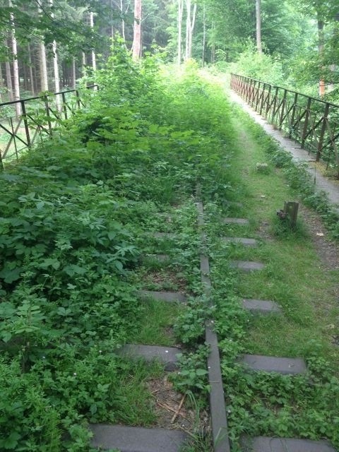 Die ehemalige Bahnstrecke über die Ecker