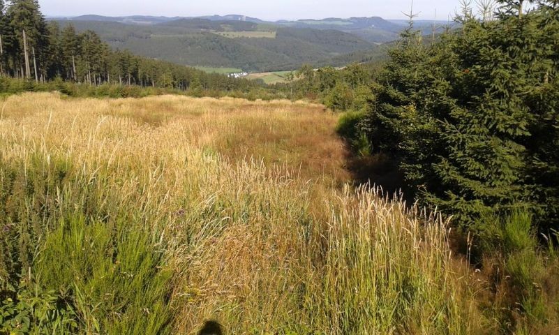 Hochheide