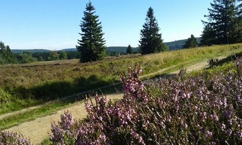 Hochheide