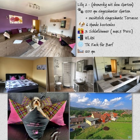 35+ nett Bilder Ferienwohnung Mit Eingezäuntem Garten Ferienhaus