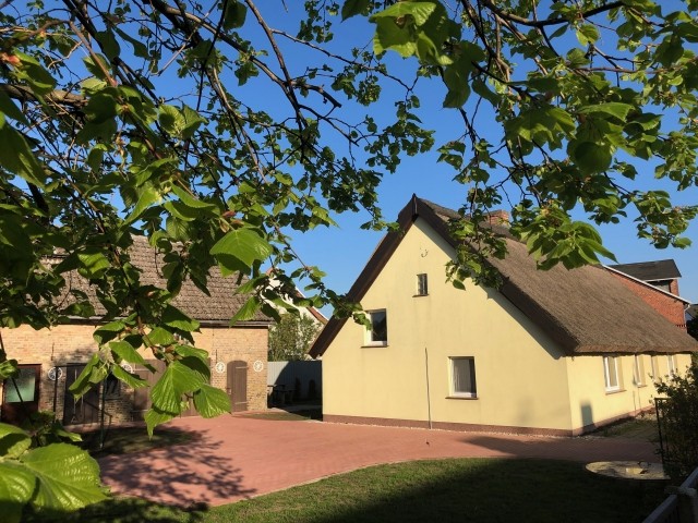 Großes eingezäuntes Ferienhaus 2 Hunde frei