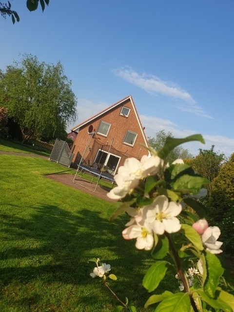 Alleinstehendes Ferienhaus in ruhiger Lage. Großer umzäunter Garten