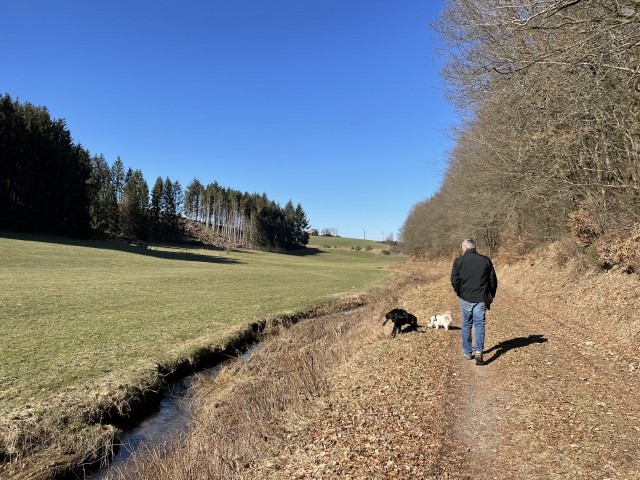 Ferienhaus in Alleinlage, mit Panoramablick und komplett eingezäunt