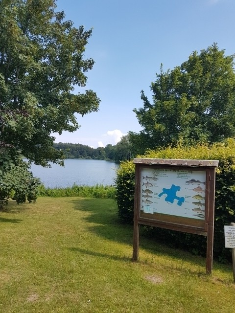 Ferienhaus Feldblick am Mönchneversdorfer See, Ostsee,Wald uvm.