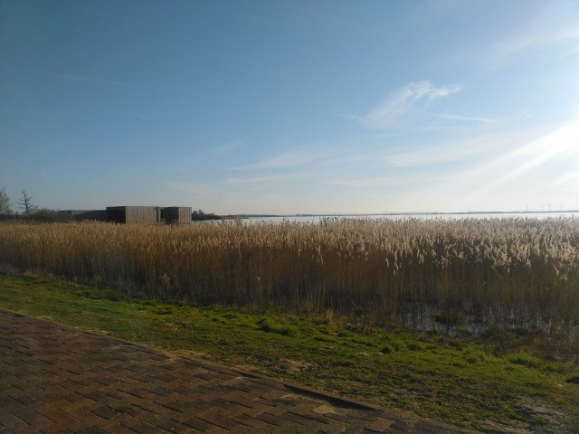 Ferienwohnung mit Garten und Terrasse 10 Minuten vom Dümmer See