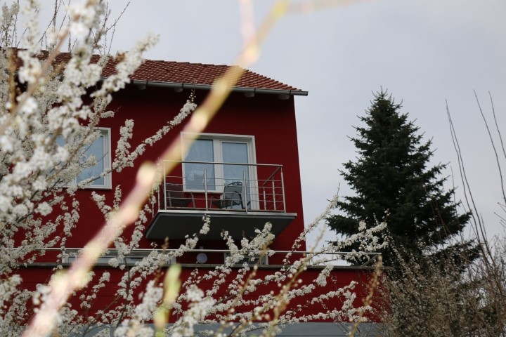 freistehendes Haus 100qm mit großem eingzäuntem Garten 3 Hunde willk