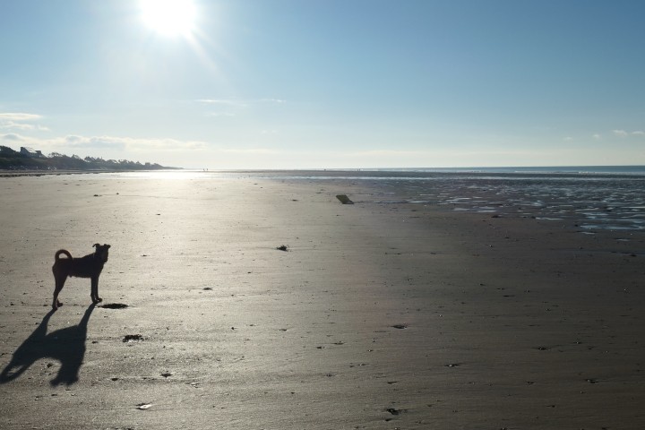Ferienhaus Direkt am Strand. Ihr Traumhaus mit eingezäuntem Grundstück