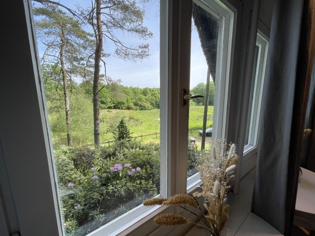 Ferienhaus mit Teich auf 16.000m² in der Natur