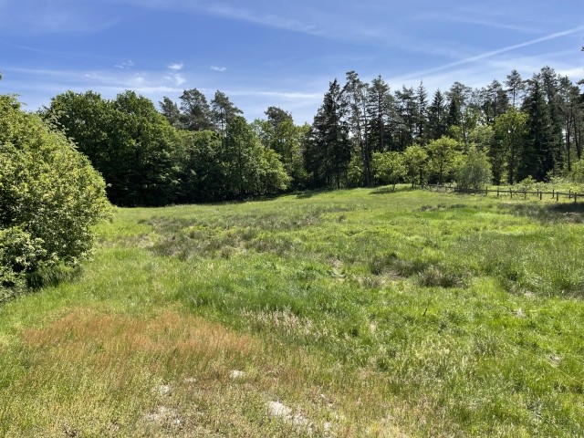 Ferienhaus mit Teich auf 16.000m² in der Natur