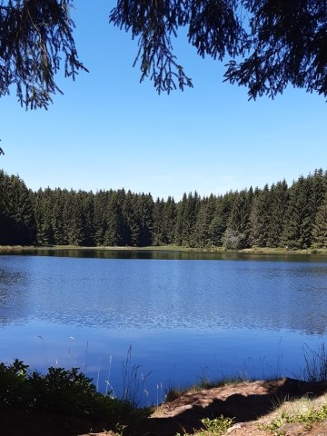 sonnige Terrassenwohnung direkt am Liebesbankweg
