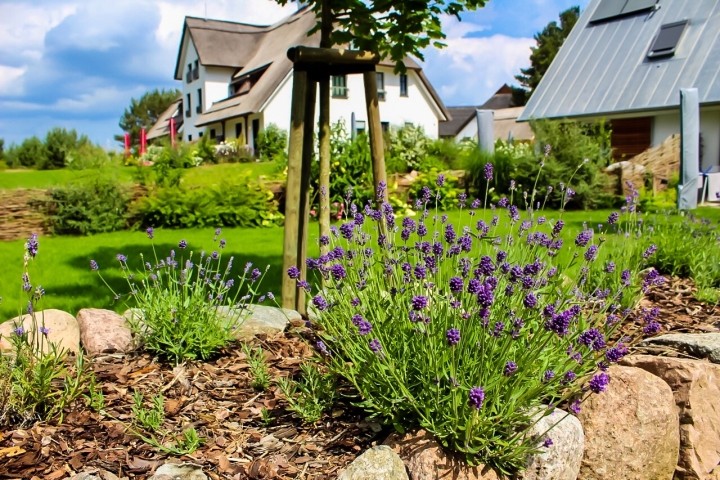 Traumhafte Doppelhaushälfte mit umzäunten Garten auf Usedom