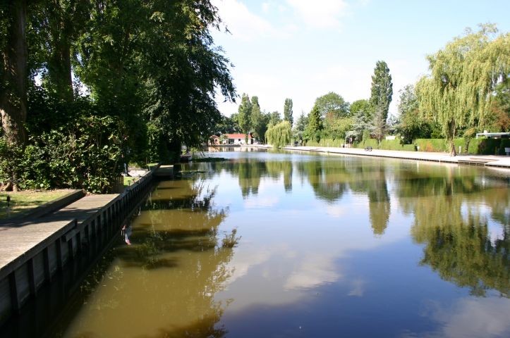 Karpfenteich