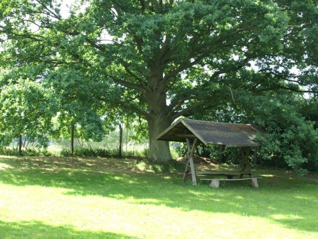 Grundstück/Garten