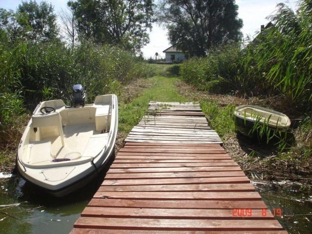 Boot  Tretboot 