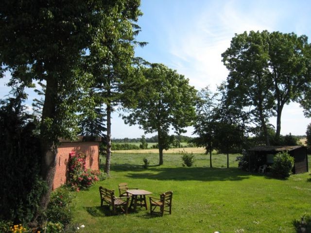 Blick in den Garten