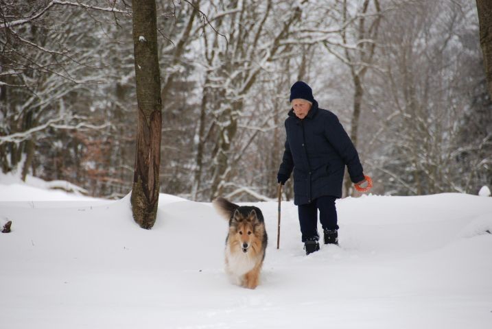 Wintersparziergang 