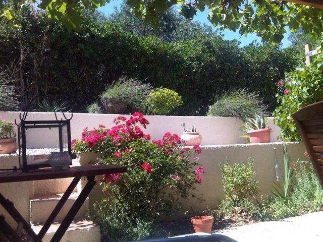 Garten hinten