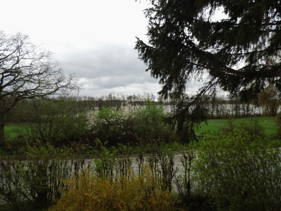 Blick aus dem Küchenfenster