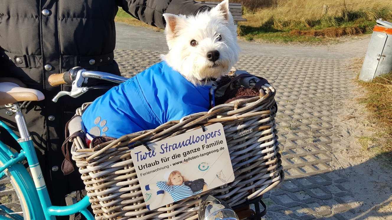 Urlaub mit Hund Langeoog Twee Strandloopers