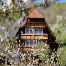 Schöne Ferienwohnung im Herzen vom Schwarzwald