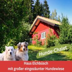 Brangs Hundeparadies Eifel- Haus Elchbüsch