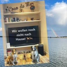 Floating Hideaway Schwimmendes, fest am Steg liegendes Ferie ...