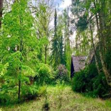 Waldhäusle mit eingezäunten Waldgrundstück 1.80m hoch Lü ...