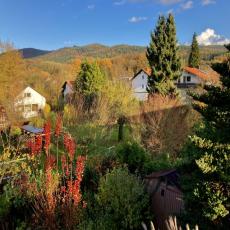 Genießen Sie unsere schöne Garten-FeWo mit Bergblick und p ...