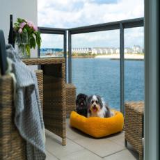 Bolliwerk10 AUF der Ostsee  - Olpenitz / Hunde kostenlos 