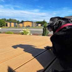Schönes, ruhig gelegenes Naab Chalet mit Terrasse