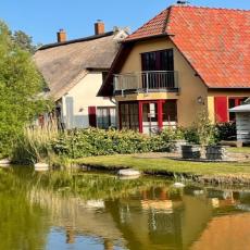 Strandhaus Meeresstern bis 5 Personen