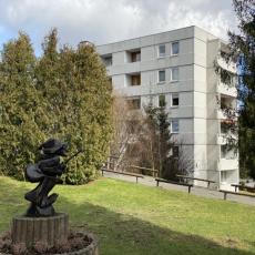 Moderne Ferienwohnung im Harz – Urlaub in Hahnenklee