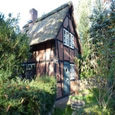 Ferienhaus unter Reet im Heidedorf  St.Dionys