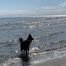 Villa Kehrwieder Ultsch - FeWo 6 - Terrasse - Urlaub mit Hun ...