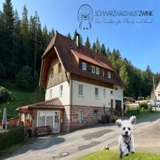  exklusive im modernen Schwarzwaldstil  FeWo Waldblick 