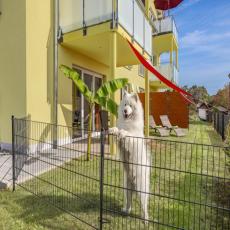 großzügige Ferienwohnung mit Hundezaun