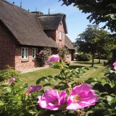 Gemütliche Ferienwohnung unter Reet auf der Nordseeinsel F ...