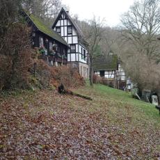 Apartment am See mit Terrasse in Heimbach Eifel Rursee Natio ...