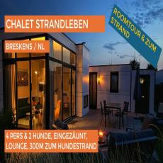 Tolles, modernes Chalet 'Strandleben' mit Zaun, Lounge & gro ...