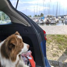 Erdgeschosswohnung A FeWo Renken