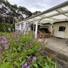 Ferien-Bungalow mit Terrasse FeWo D