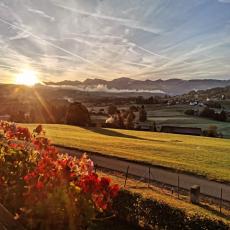 4* Alpenblick Dorner - 84m² Hundeparadies mit gigantischem  ...