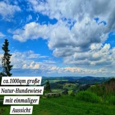 Gemütliche Fewo in Allein/-Waldlage auf 650HM im Hochsauerl ...