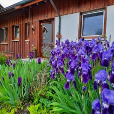 Den Alltag vergessen und die herrliche Natur am Bodensee ent ...