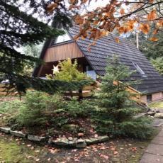 Saunahaus im Märchenwald, 800 m² eingezäunt, Waldrandlage