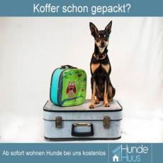 Großzügige Ferienwohnung für Hundefreunde auf dem Lande