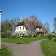 Urlaub im Reetdachhaus Malve 2, Kamin, WLAN, Schwimmteich