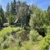 Ferienhaus mit Teich auf 16.000m² in der Natur